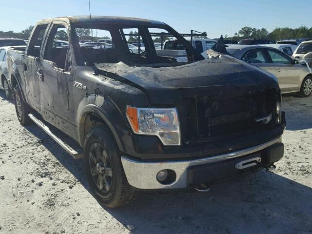 1FTFW1EF0EFB93699 - 2014 FORD F150 SUPER BLACK photo 1