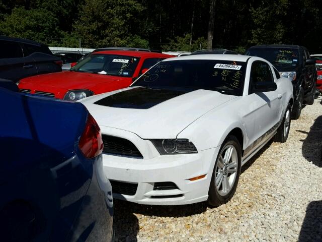 1ZVBP8AM3E5258346 - 2014 FORD MUSTANG WHITE photo 2