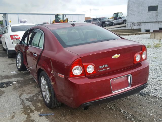 1G1ZE5E70BF249239 - 2011 CHEVROLET MALIBU LTZ 勃艮第红 照片 3