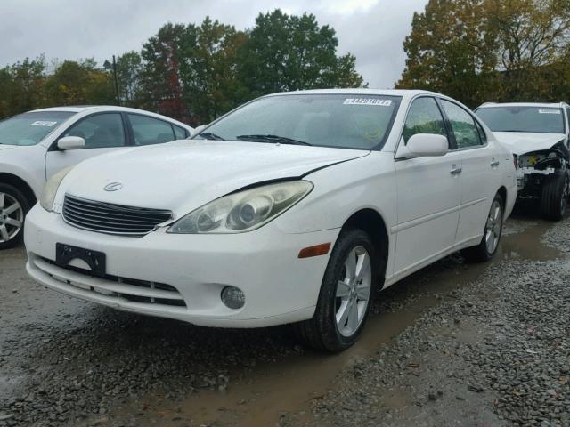 JTHBA30GX65157484 - 2006 LEXUS ES 330 WHITE photo 2