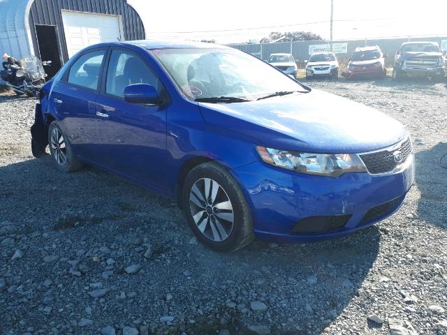 KNAFU4A26D5652374 - 2013 KIA FORTE EX BLUE photo 1