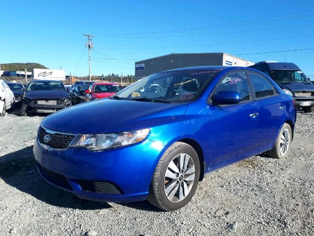 KNAFU4A26D5652374 - 2013 KIA FORTE EX BLUE photo 2