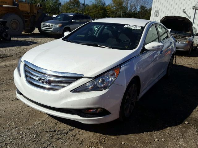 5NPEC4AC2EH844774 - 2014 HYUNDAI SONATA SE WHITE photo 2