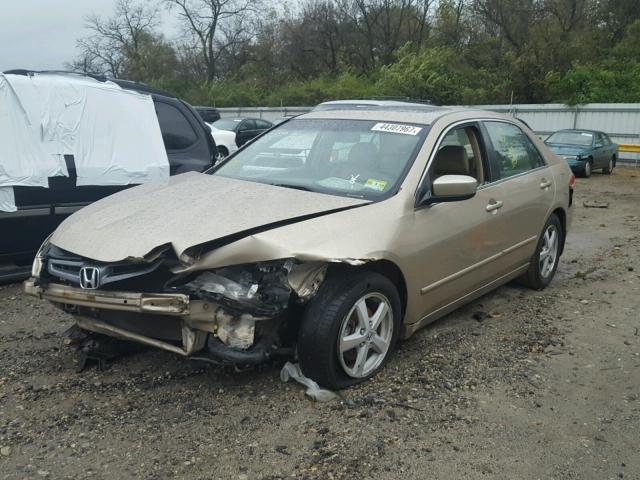 1HGCM56804A091977 - 2004 HONDA ACCORD GOLD photo 2