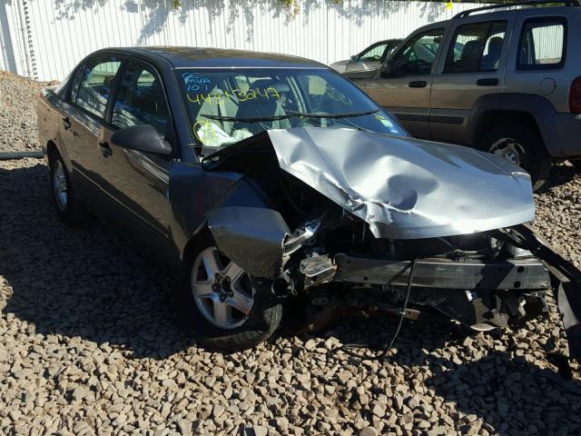 1G1ZT52824F118433 - 2004 CHEVROLET MALIBU LS GRAY photo 1