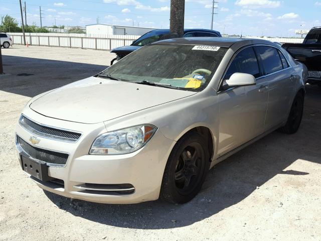 1G1ZC5EB8AF126765 - 2010 CHEVROLET MALIBU 1LT GOLD photo 2