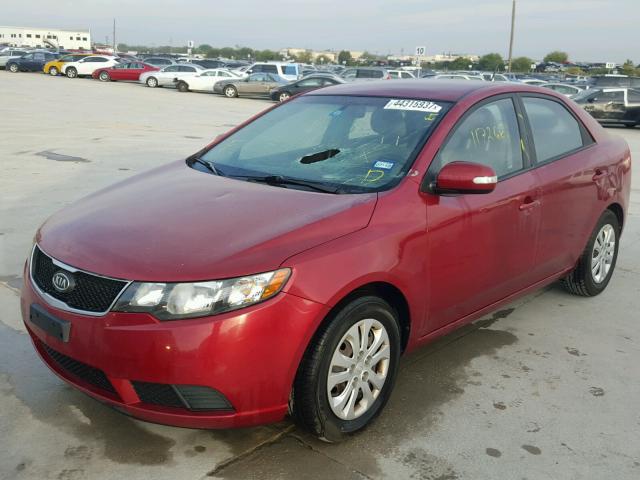 KNAFU4A21A5056231 - 2010 KIA FORTE RED photo 2