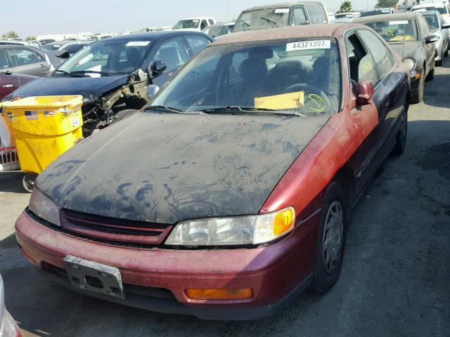 1HGCD5534RA061555 - 1994 HONDA ACCORD LX RED photo 2