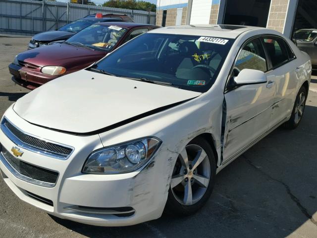 1G1ZC5E17BF317909 - 2011 CHEVROLET MALIBU 1LT 白色 照片 2