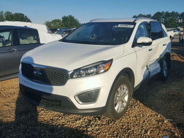 5XYPG4A37GG098071 - 2016 KIA SORENTO LX WHITE photo 2