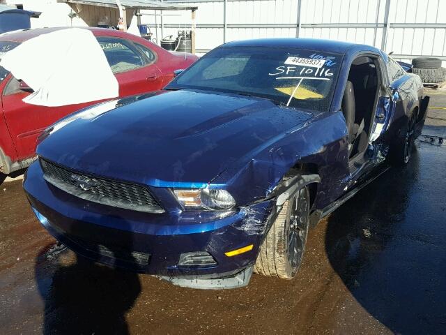 1ZVBP8AM7C5220549 - 2012 FORD MUSTANG BLUE photo 2