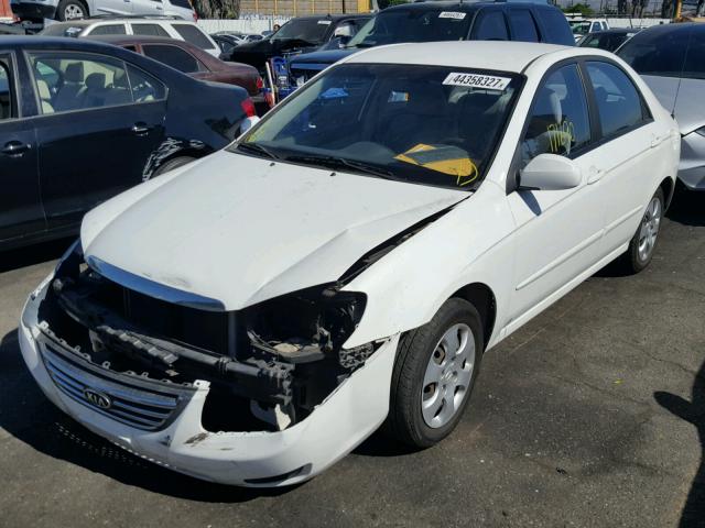 KNAFE122985570381 - 2008 KIA SPECTRA EX WHITE photo 2