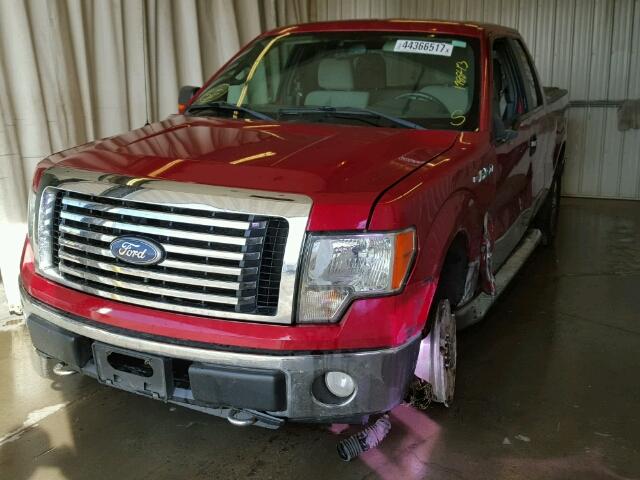 1FTFX1EV1AKE24096 - 2010 FORD F150 RED photo 2