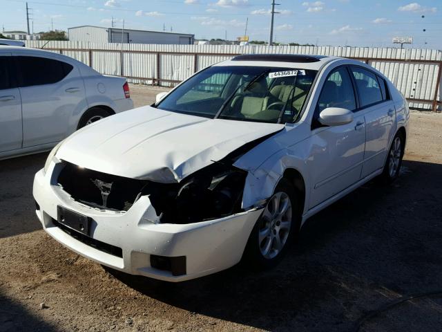 1N4BA41E18C801561 - 2008 NISSAN MAXIMA SE WHITE photo 2