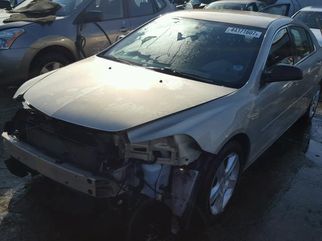 1G1ZB5E12BF195107 - 2011 CHEVROLET MALIBU ბეჟი ფოტო 2