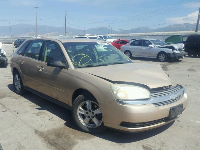 1G1ZT64855F164553 - 2005 CHEVROLET MALIBU MAX 金色 照片 1