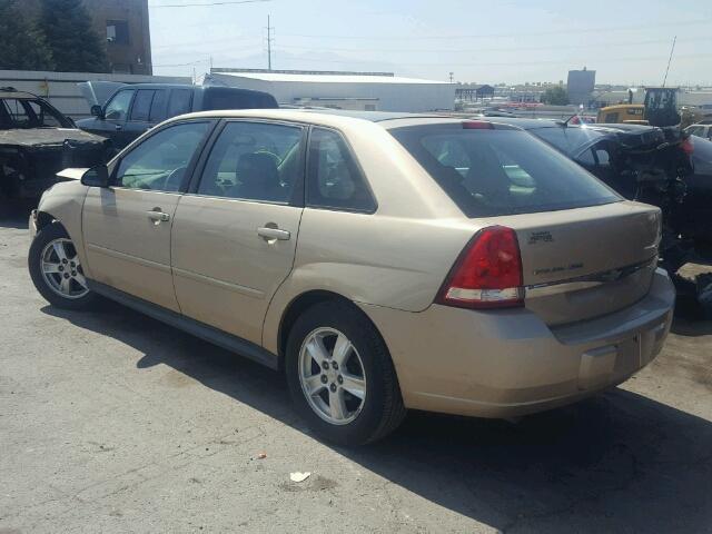 1G1ZT64855F164553 - 2005 CHEVROLET MALIBU MAX 金色 照片 3