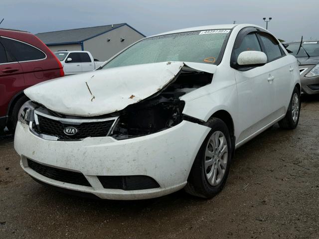 KNAFT4A27D5673303 - 2013 KIA FORTE WHITE photo 2