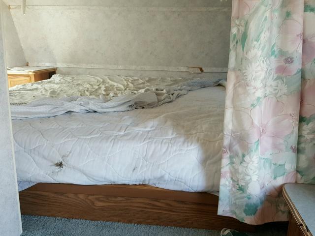 1EC5B2122S2377779 - 1995 HEART LAND PROWLER 白色 照片 5