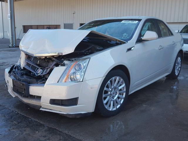 1G6DE5EY8B0103753 - 2011 CADILLAC CTS LUXURY CREAM photo 2