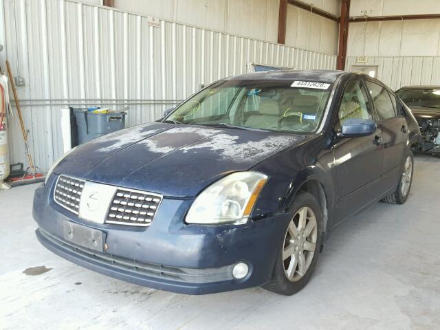 1N4BA41E44C880346 - 2004 NISSAN MAXIMA SE BLUE photo 2