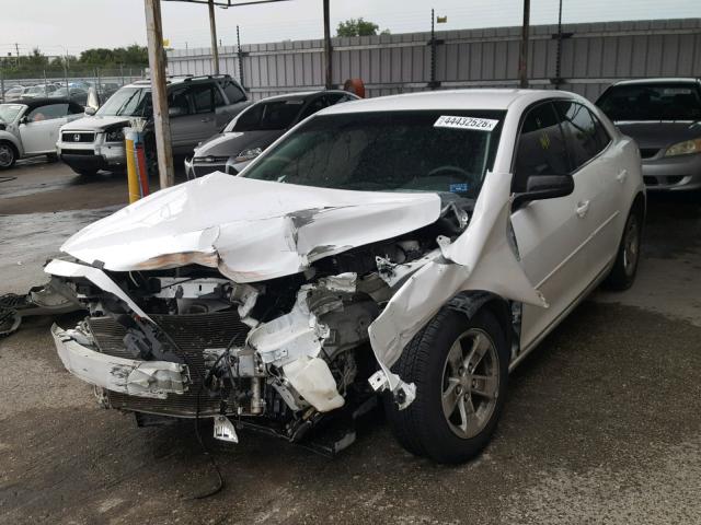 1G11B5SA4DF296590 - 2013 CHEVROLET MALIBU LS Ağ foto 2