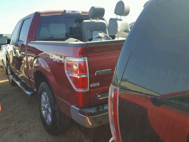 1FTFW1EF4EFD08319 - 2014 FORD F150 SUPER RED photo 3