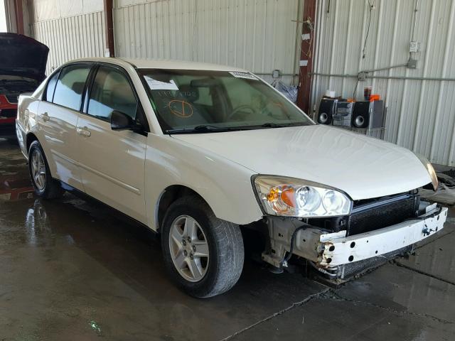 1G1ZT54814F220979 - 2004 CHEVROLET MALIBU LS Ağ foto 1