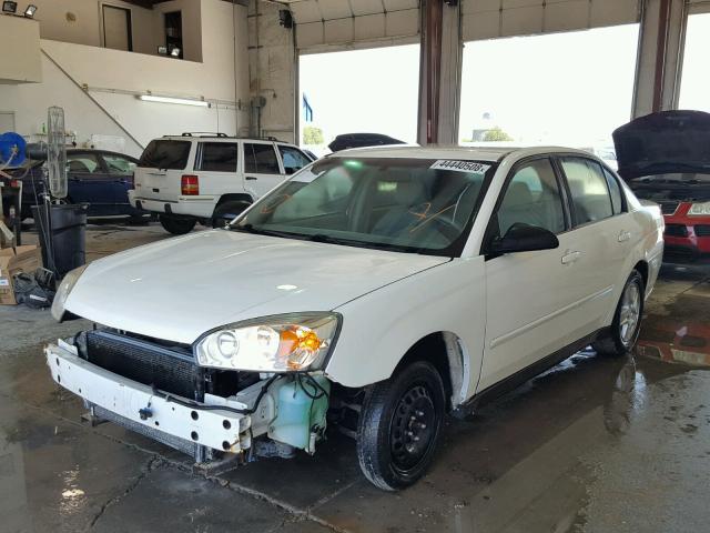 1G1ZT54814F220979 - 2004 CHEVROLET MALIBU LS Ağ foto 2