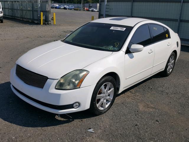 1N4BA41E76C848168 - 2006 NISSAN MAXIMA SE WHITE photo 2