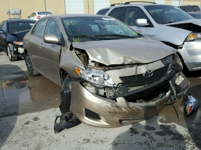 2T1BU40E89C144849 - 2009 TOYOTA COROLLA BA BEIGE photo 1