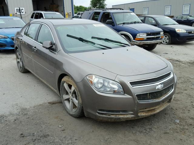 1G1ZC5E17BF366107 - 2011 CHEVROLET MALIBU 1LT 棕色 照片 1