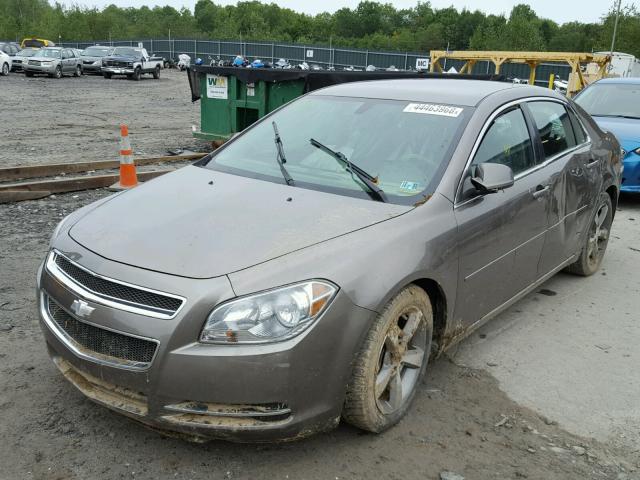 1G1ZC5E17BF366107 - 2011 CHEVROLET MALIBU 1LT 棕色 照片 2