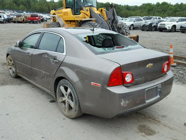 1G1ZC5E17BF366107 - 2011 CHEVROLET MALIBU 1LT 棕色 照片 3