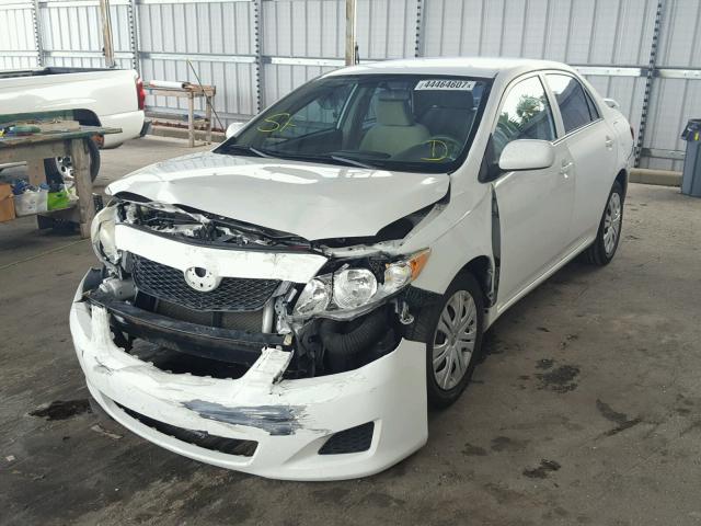 1NXBU4EE8AZ371017 - 2010 TOYOTA COROLLA WHITE photo 2