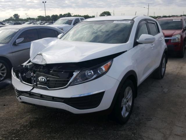 KNDPB3A26D7533185 - 2013 KIA SPORTAGE B WHITE photo 2