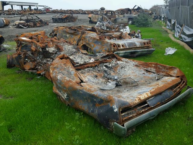 242177Z126140 - 1967 PONTIAC GTO BURN photo 3