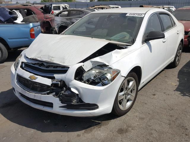 1G1ZA5EB5A4103803 - 2010 CHEVROLET MALIBU LS თეთრი ფოტო 2