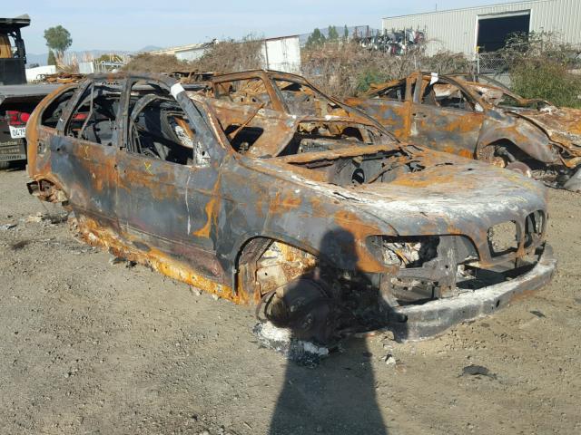 5UXFB93513LN81168 - 2003 BMW X5 4.6IS BURN photo 1