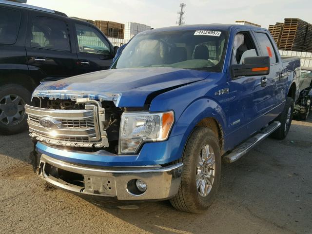 1FTFW1CTXDKE45960 - 2013 FORD F150 SUPER BLUE photo 2