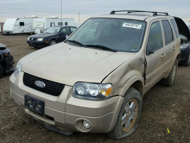 1FMCU94167KA86031 - 2007 FORD ESCAPE GOLD photo 2