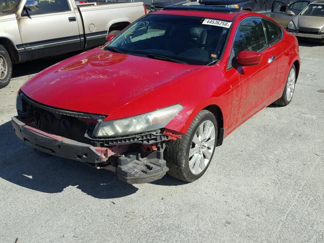 1HGCS22818A004961 - 2008 HONDA ACCORD EXL RED photo 2