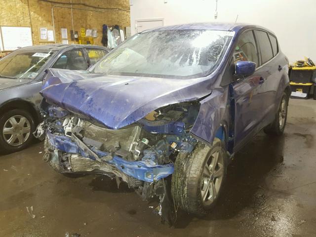 1FMCU9G97DUC62764 - 2013 FORD ESCAPE SE BLUE photo 2