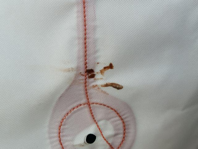 1G11C5SA8GF144667 - 2016 CHEVROLET MALIBU LIM 白色 照片 9