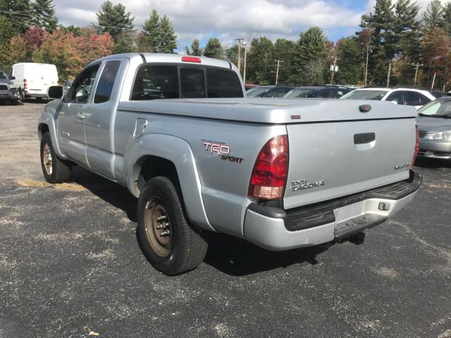 5TEUU42N65Z016636 - 2005 TOYOTA TACOMA SILVER photo 3