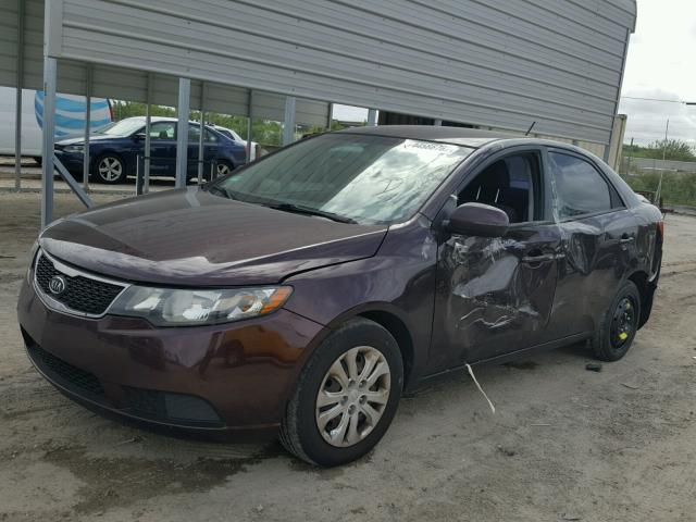 KNAFU4A25B5442247 - 2011 KIA FORTE EX MAROON photo 2