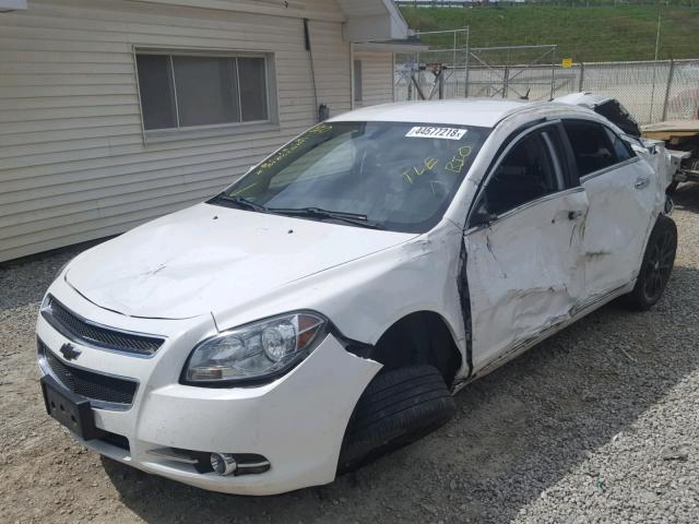 1G1ZE5EU8BF336294 - 2011 CHEVROLET MALIBU LTZ 白色 照片 2