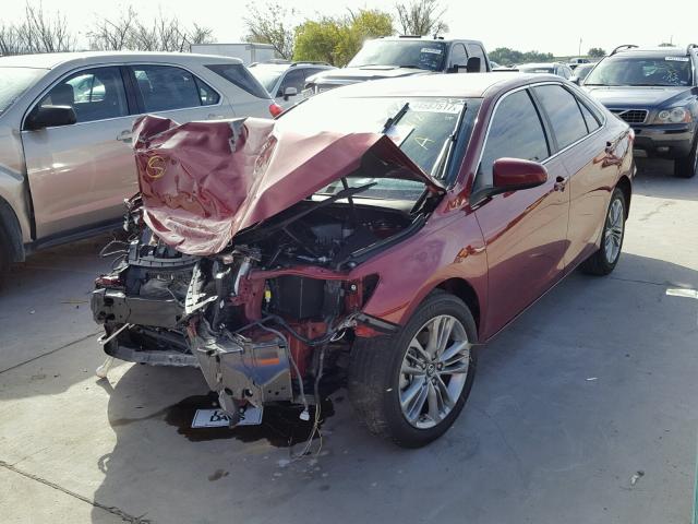 4T1BF1FK1GU575924 - 2016 TOYOTA CAMRY LE წითელი ფოტო 2