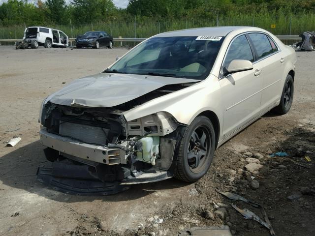 1G1ZH57N394218074 - 2009 CHEVROLET MALIBU 1LT თაფლისფერი ფოტო 2