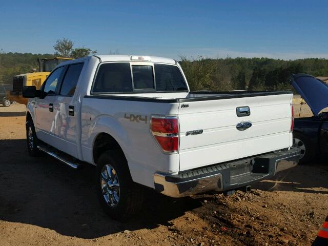 1FTFW1ETXEKF68270 - 2014 FORD F150 SUPER WHITE photo 3